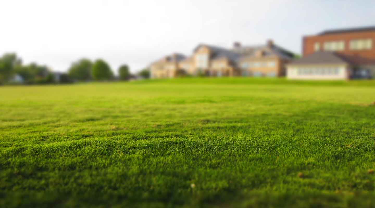 winegarden law estate planning services